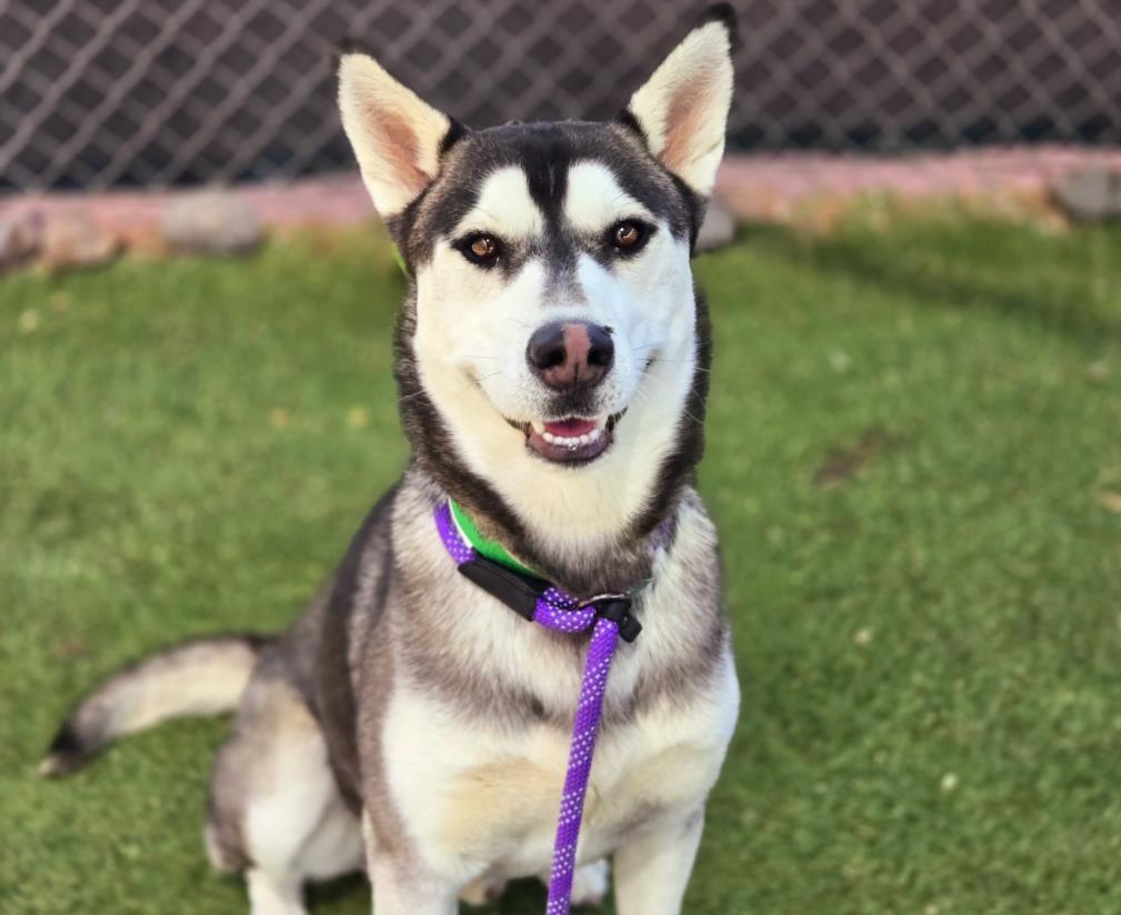 ALASKA