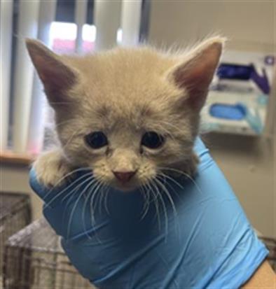 JOHN- IN FOSTER