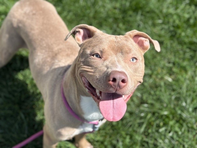 NALA