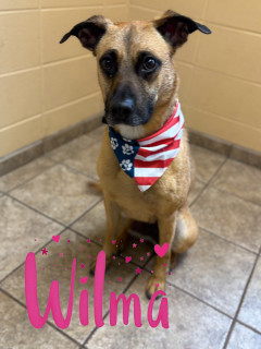 Wilma 125002