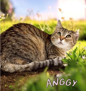 Anggy 124505