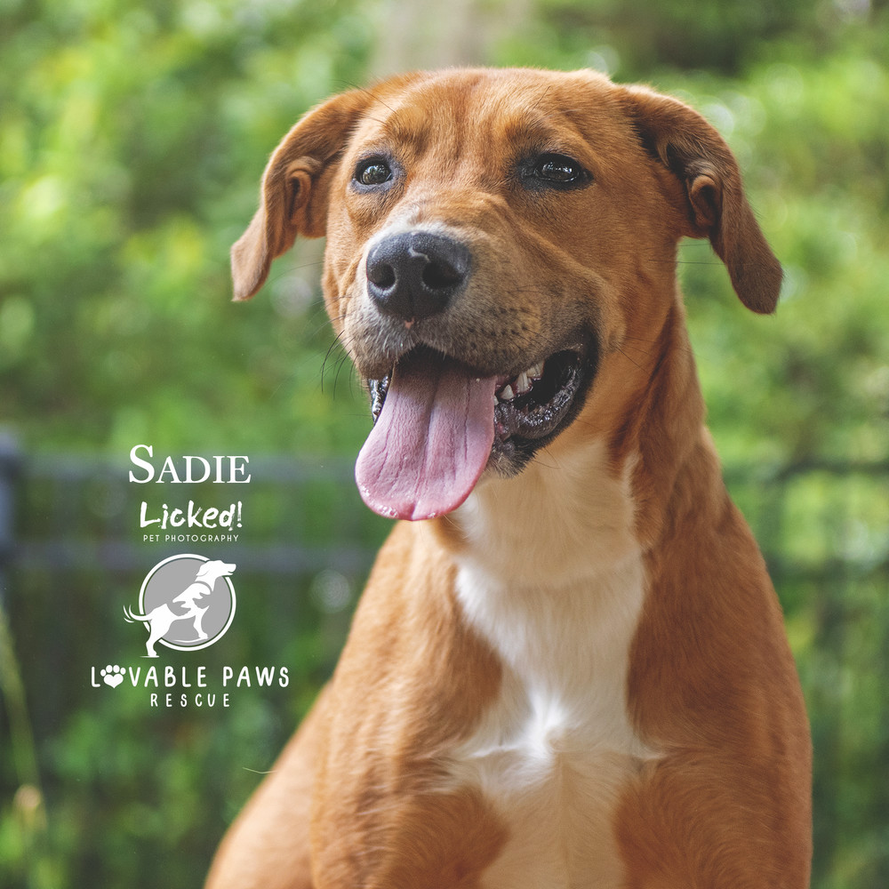 Sadie