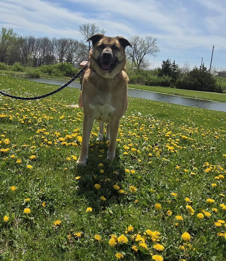 Luna