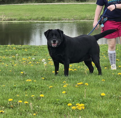 Daisy photo 1