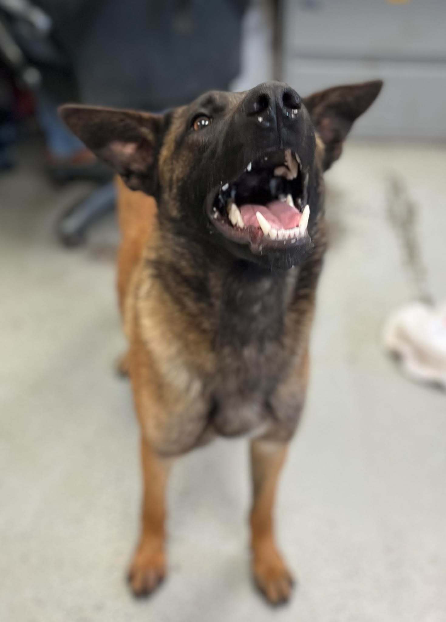 Kiva