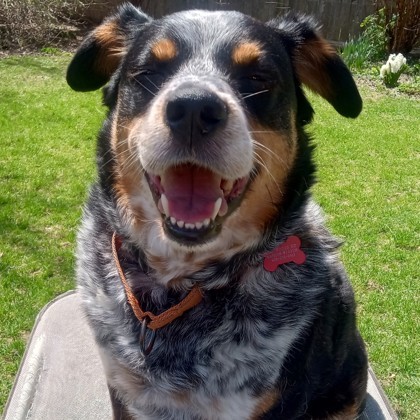 Max