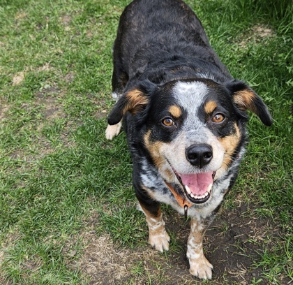 Max