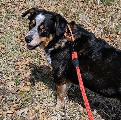 Max