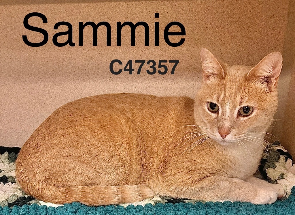 Sammie