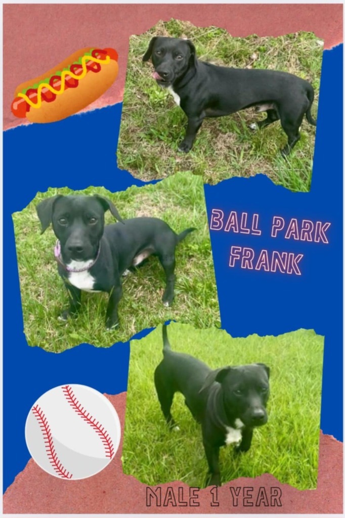 Ball Park Frank 1