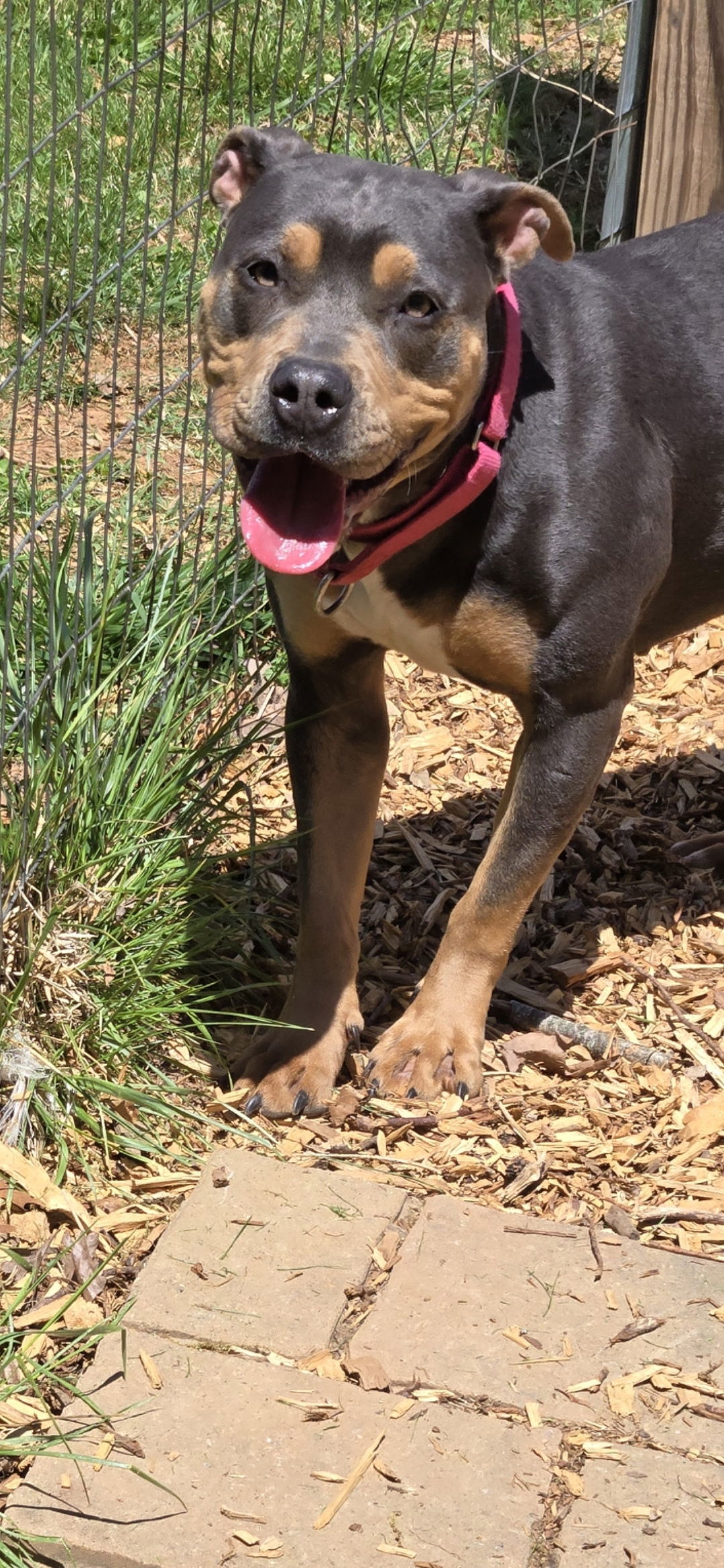 Betty: At shelter