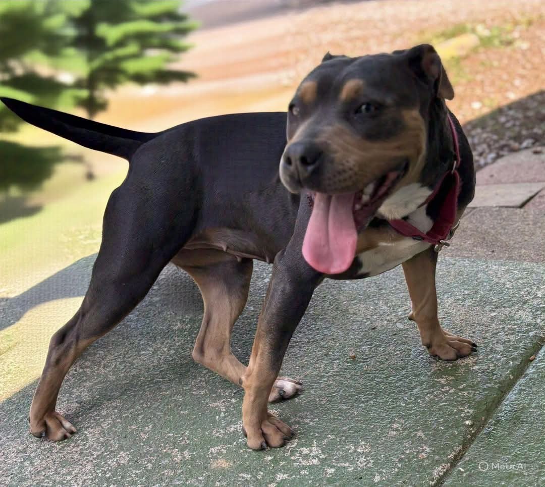 Betty: At shelter