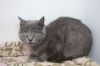 Lady Guinevere photo 2