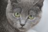 Lady Guinevere photo 3