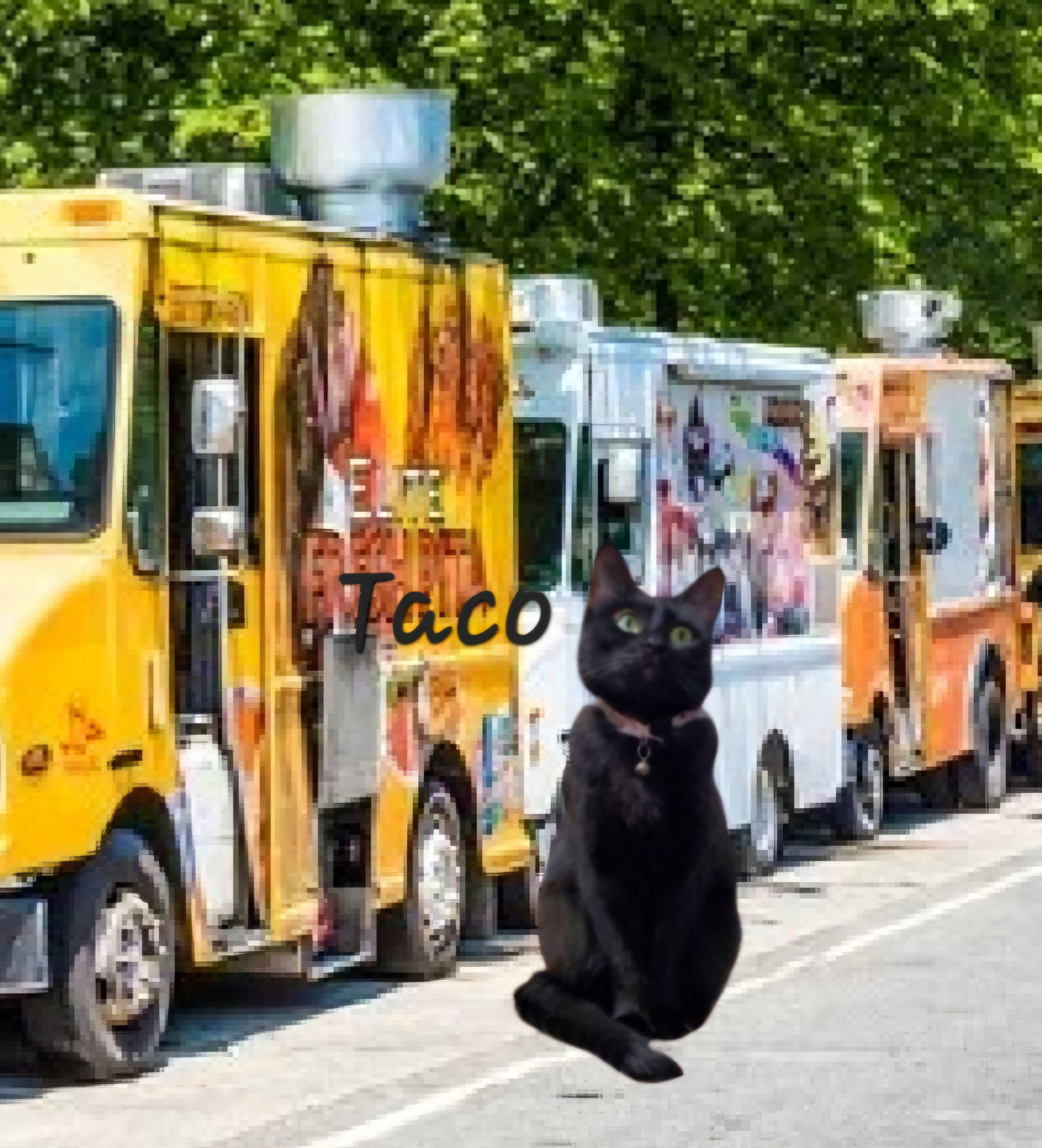 Taco #miss-foodie