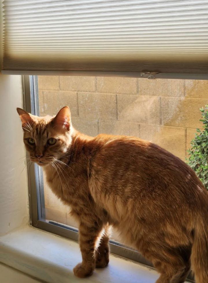 Oscar 3