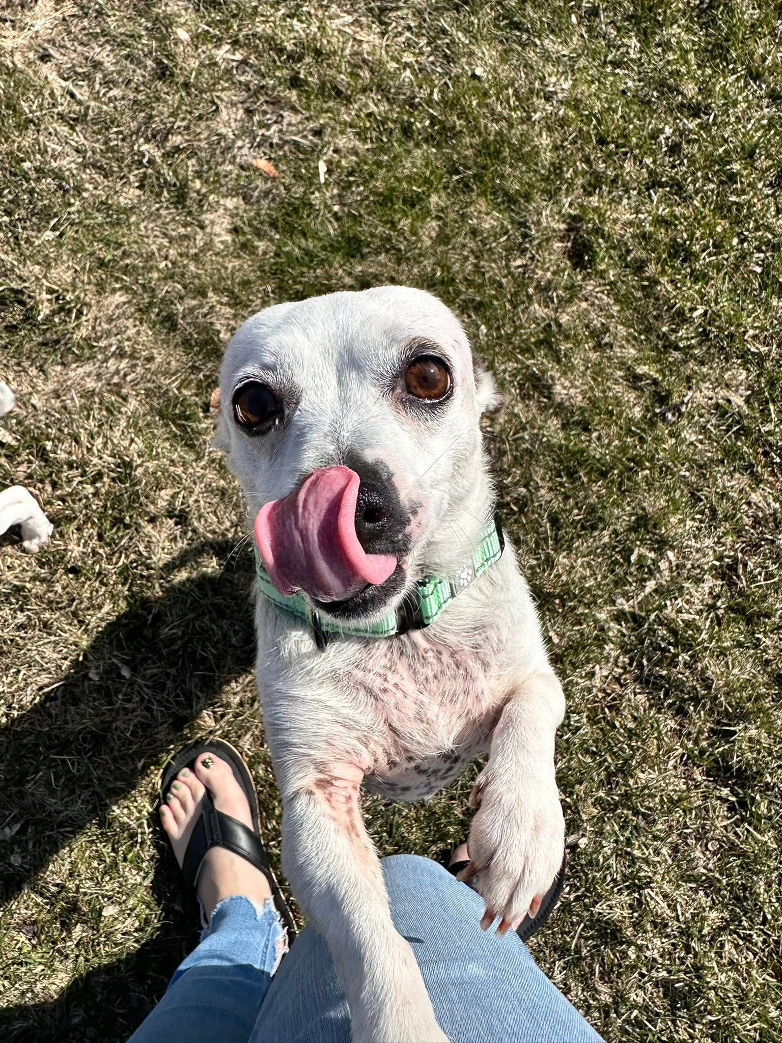 Indie