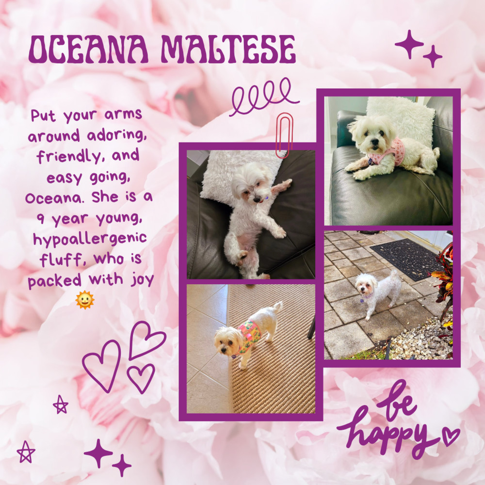 Oceana
