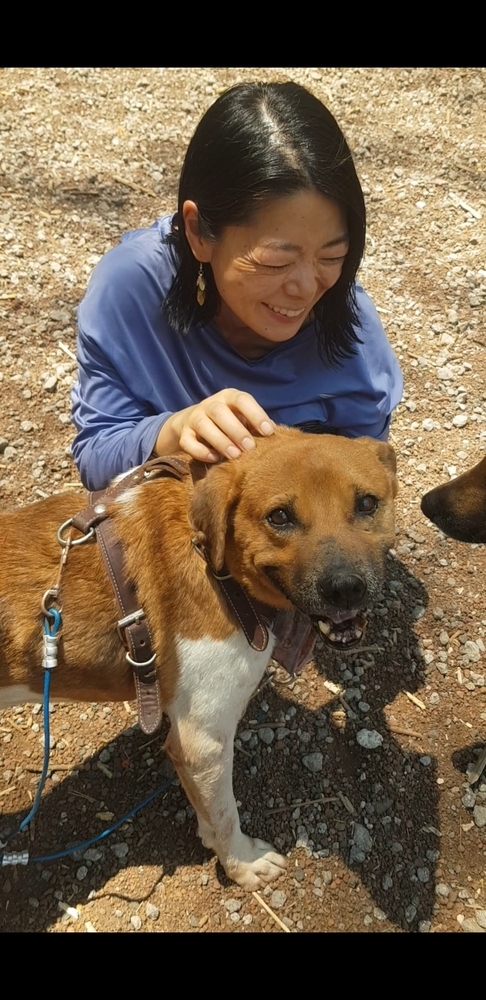MAURO, an adoptable Black Mouth Cur in Langley, BC, V2Y 3K1 | Photo Image 5