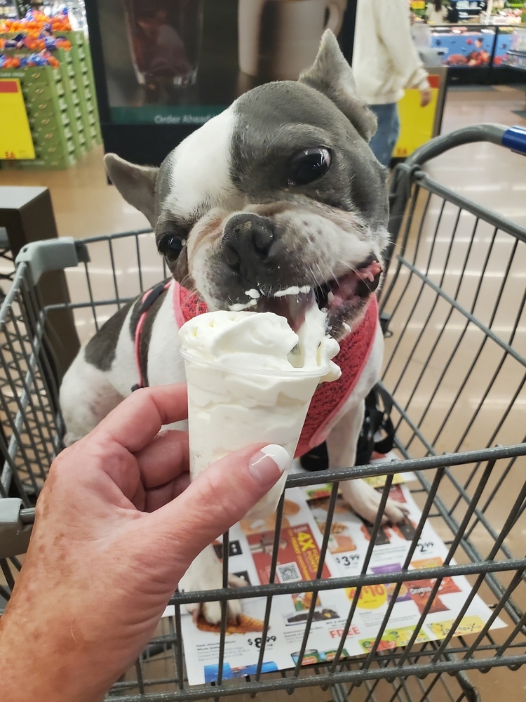 Maggy Frenchton