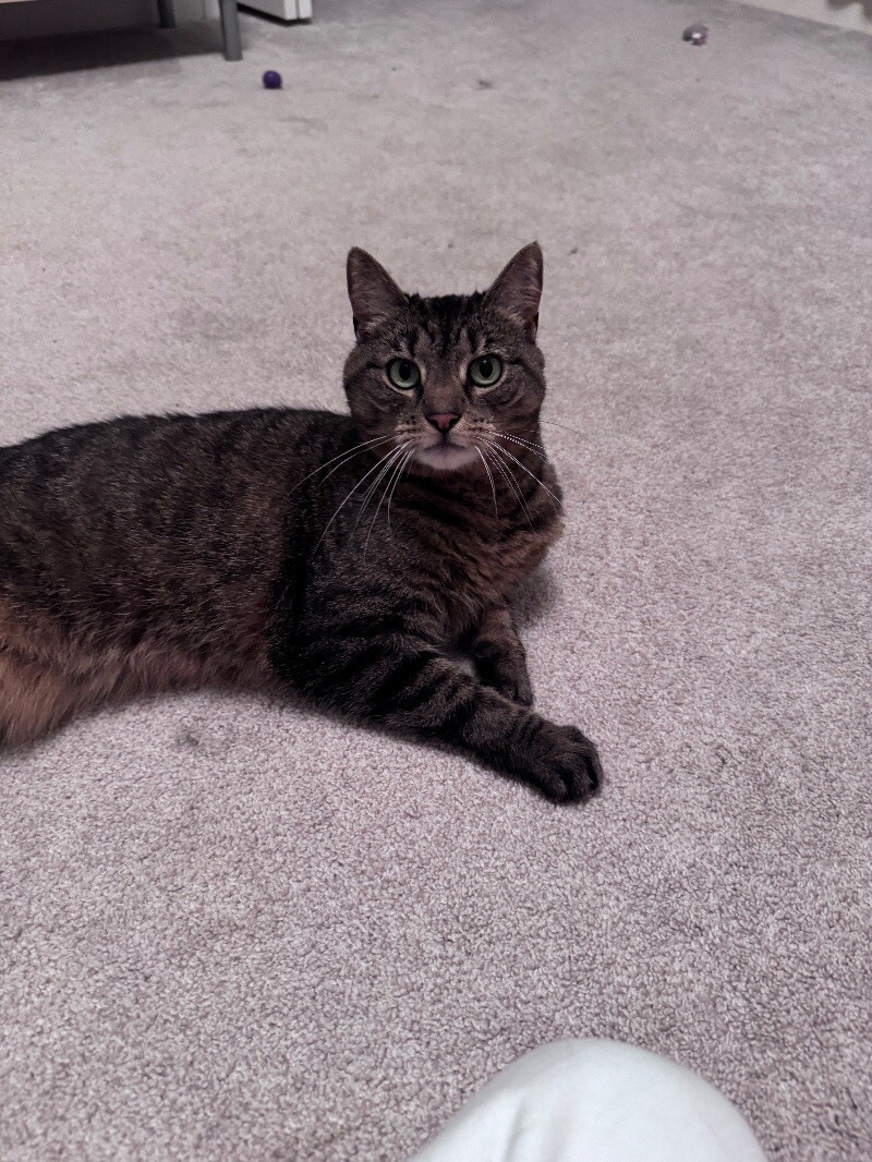 Chloe