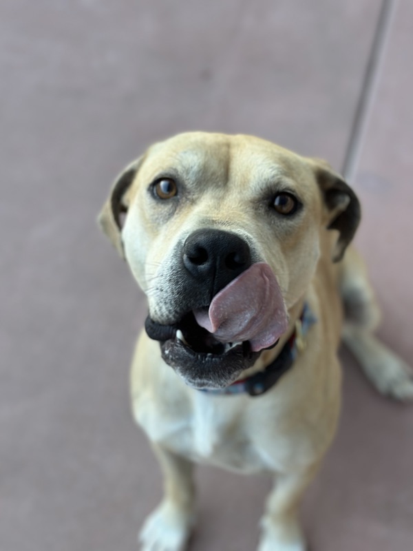Cooper