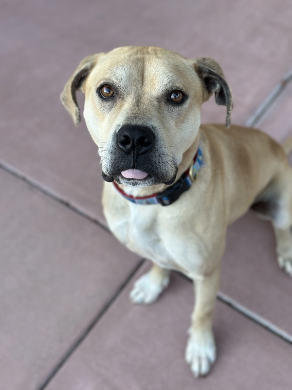 Cooper