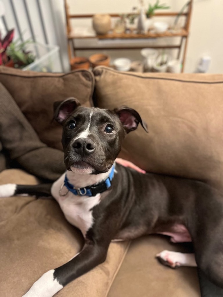 Benson
