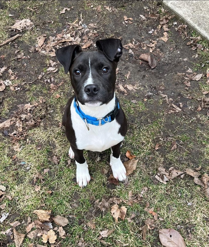 Benson