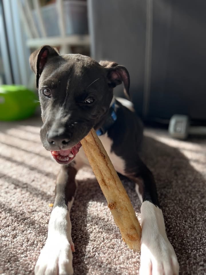 Benson