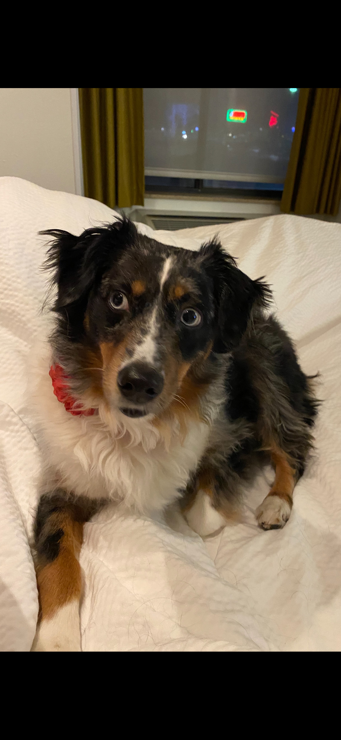 Sophie