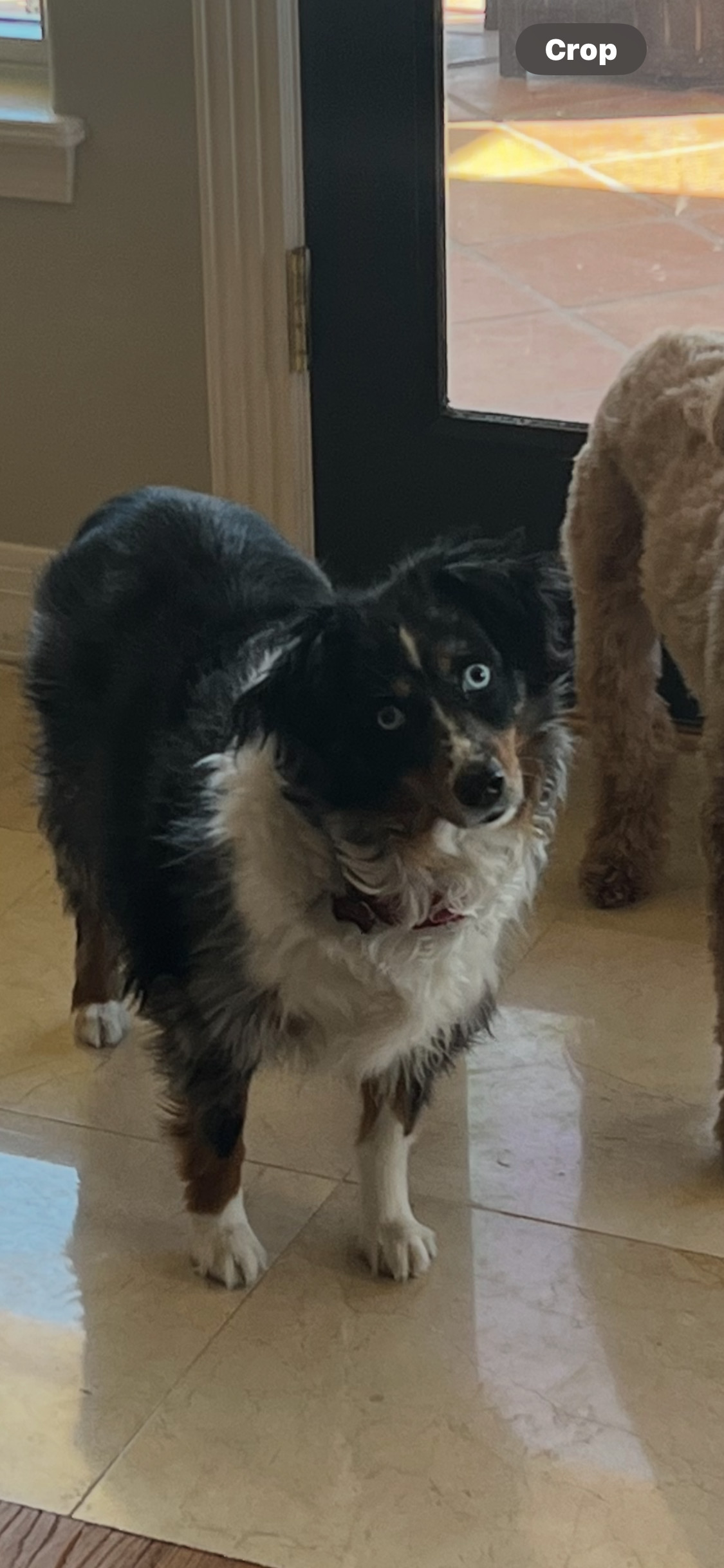 Sophie