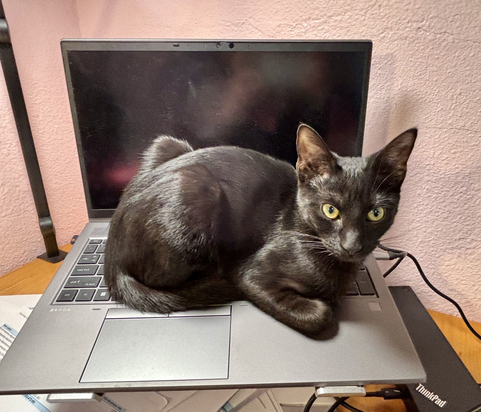 Pepper