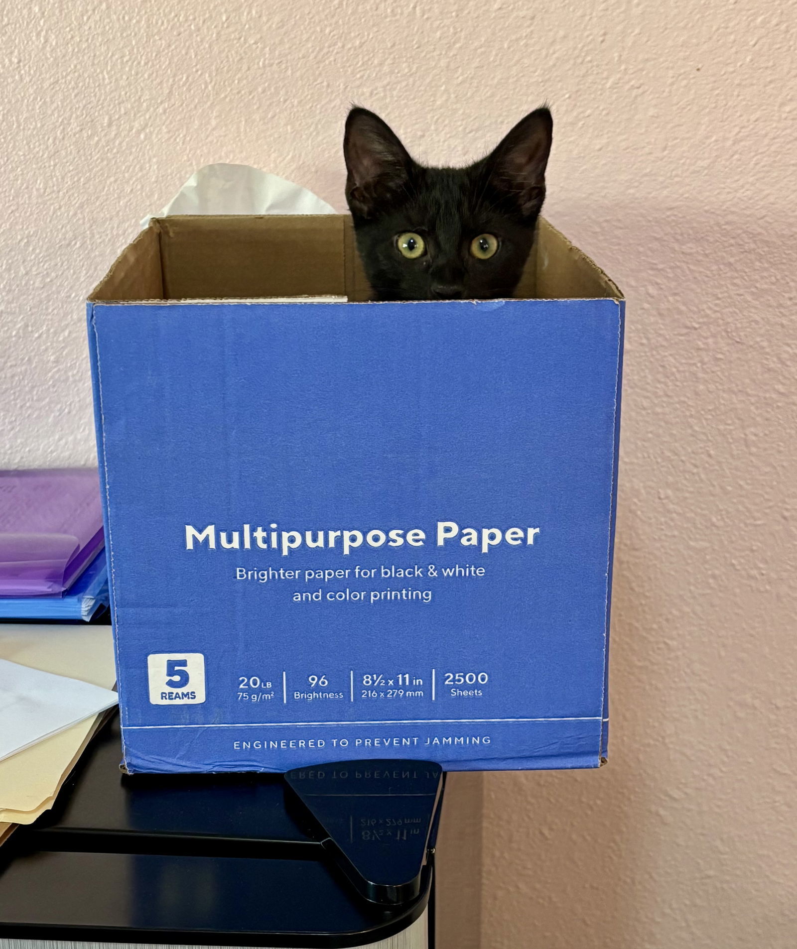 Pepper