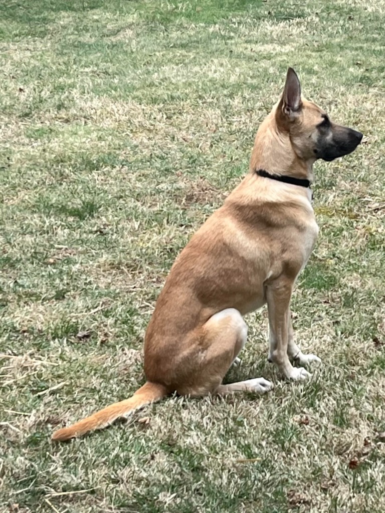 Mila