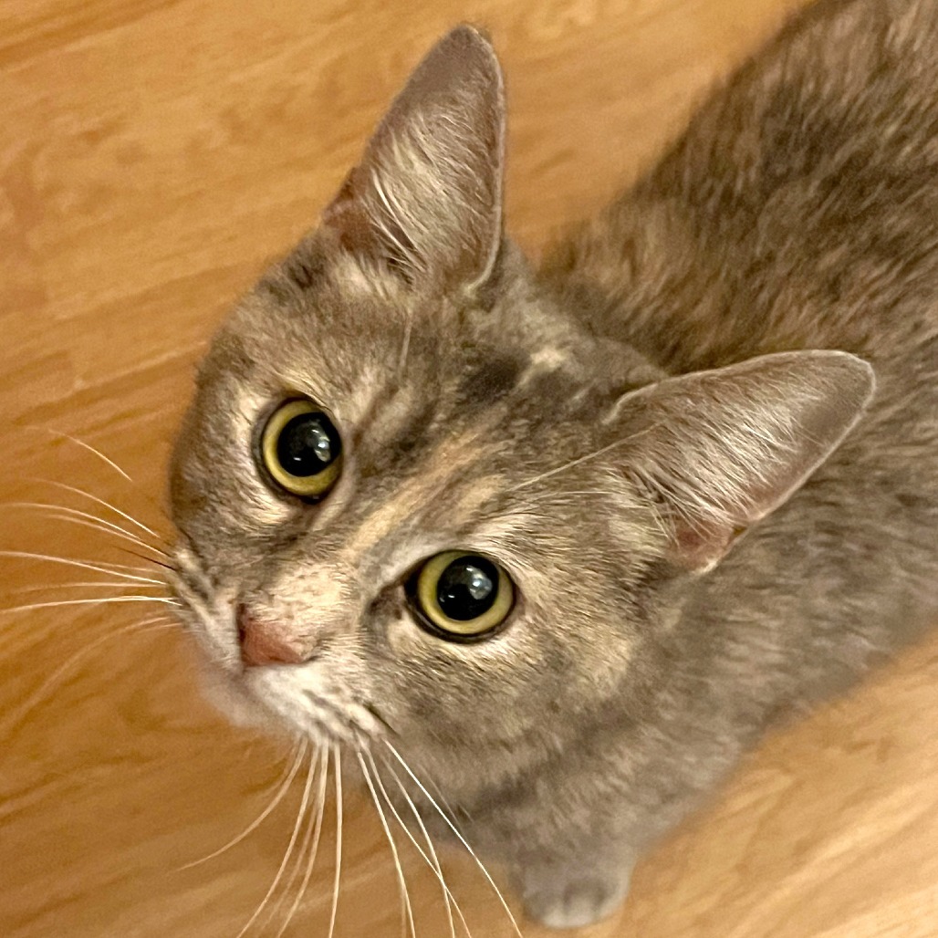 Katie