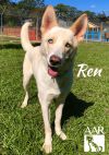 Ren photo 2