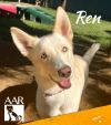 Ren photo 3