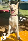 Ren photo 4