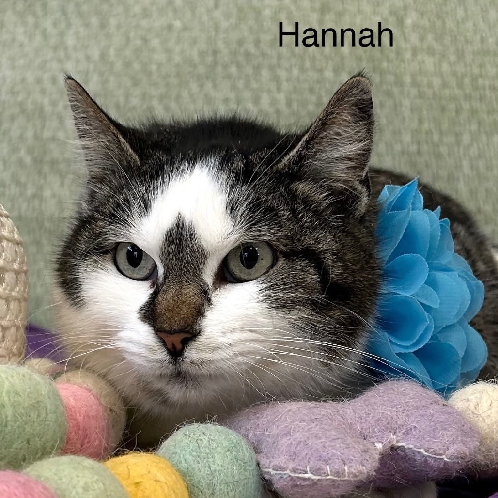 Hannah