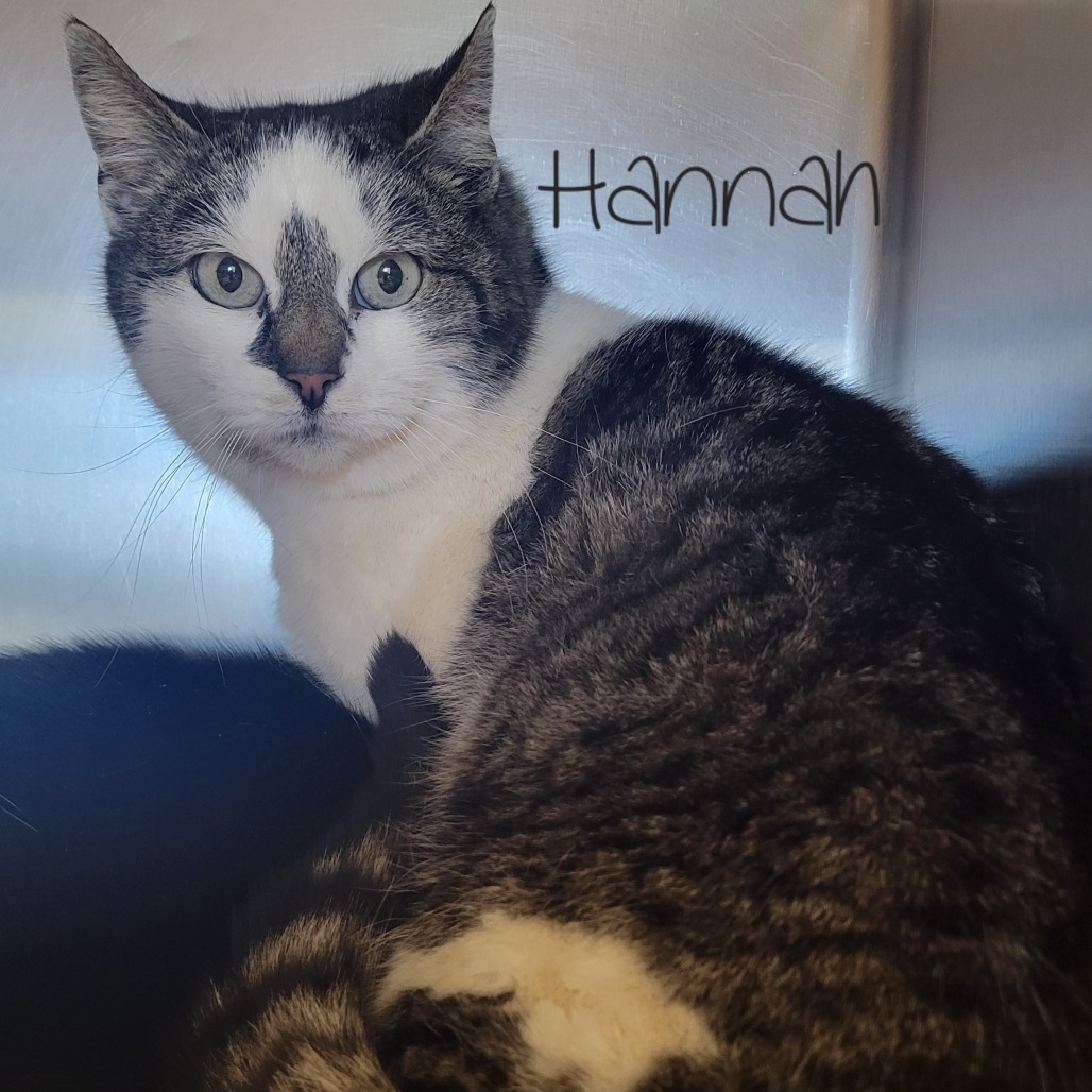 Hannah