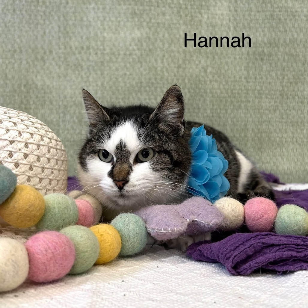 Hannah
