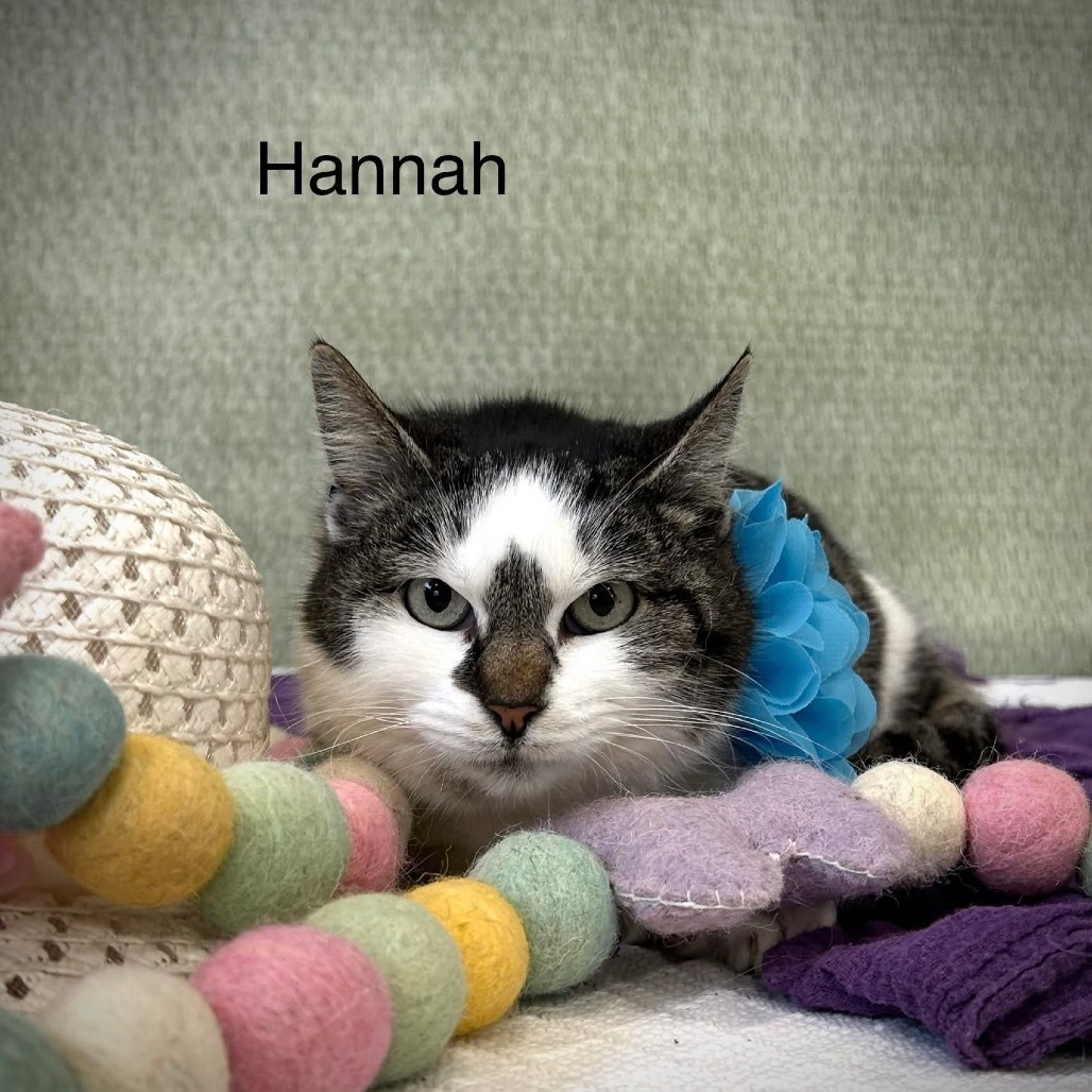 Hannah