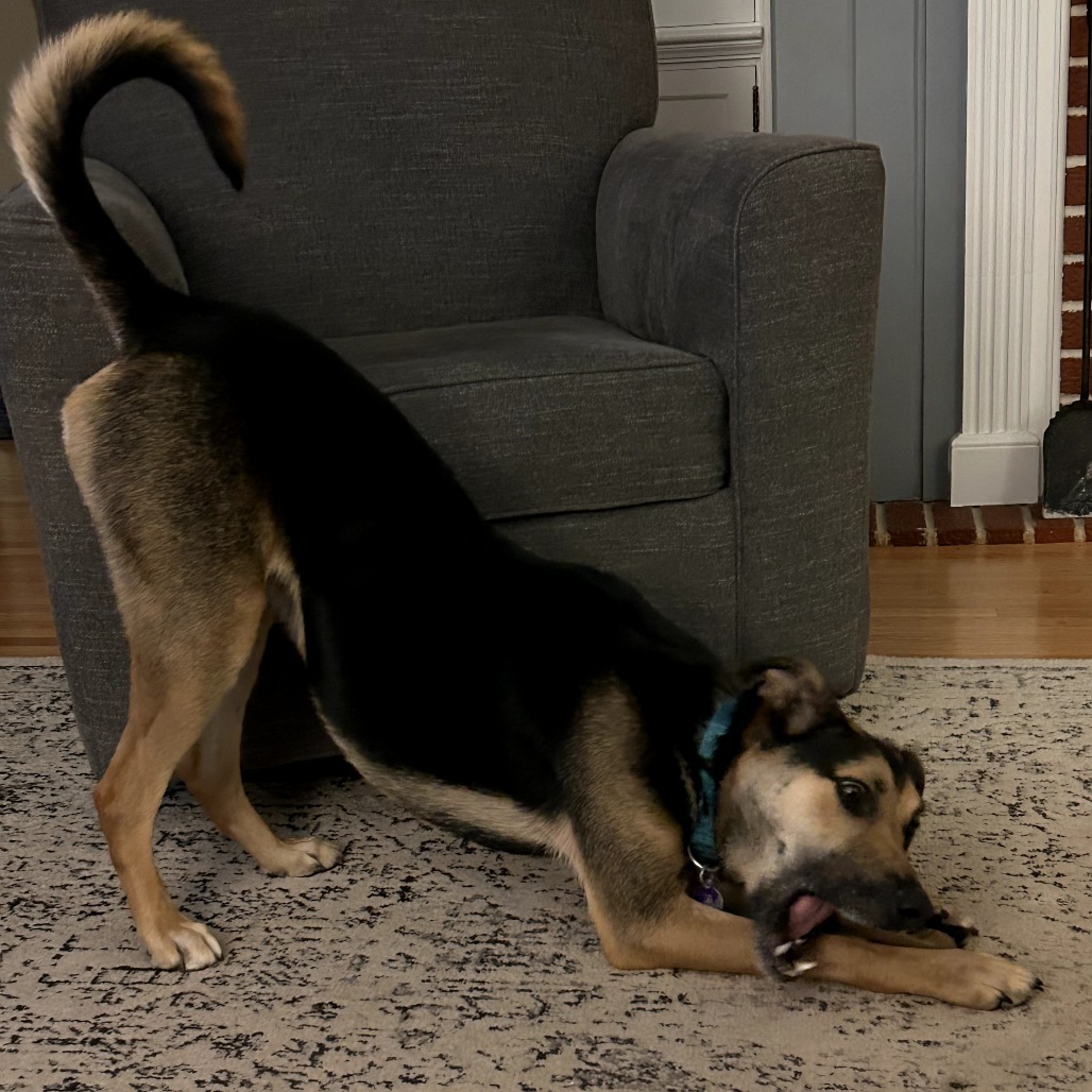 Berkeley--In Foster