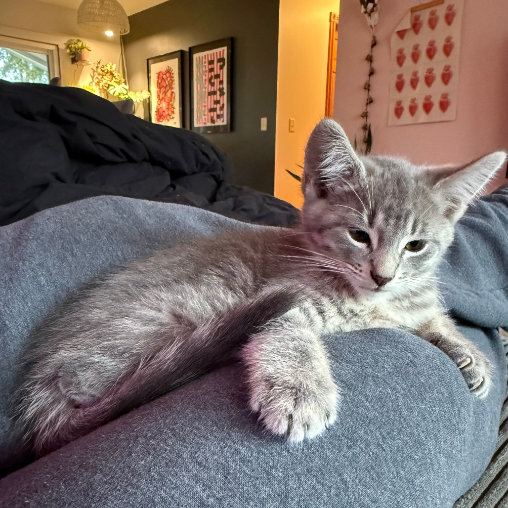 Bert - Bonded to Ernie
