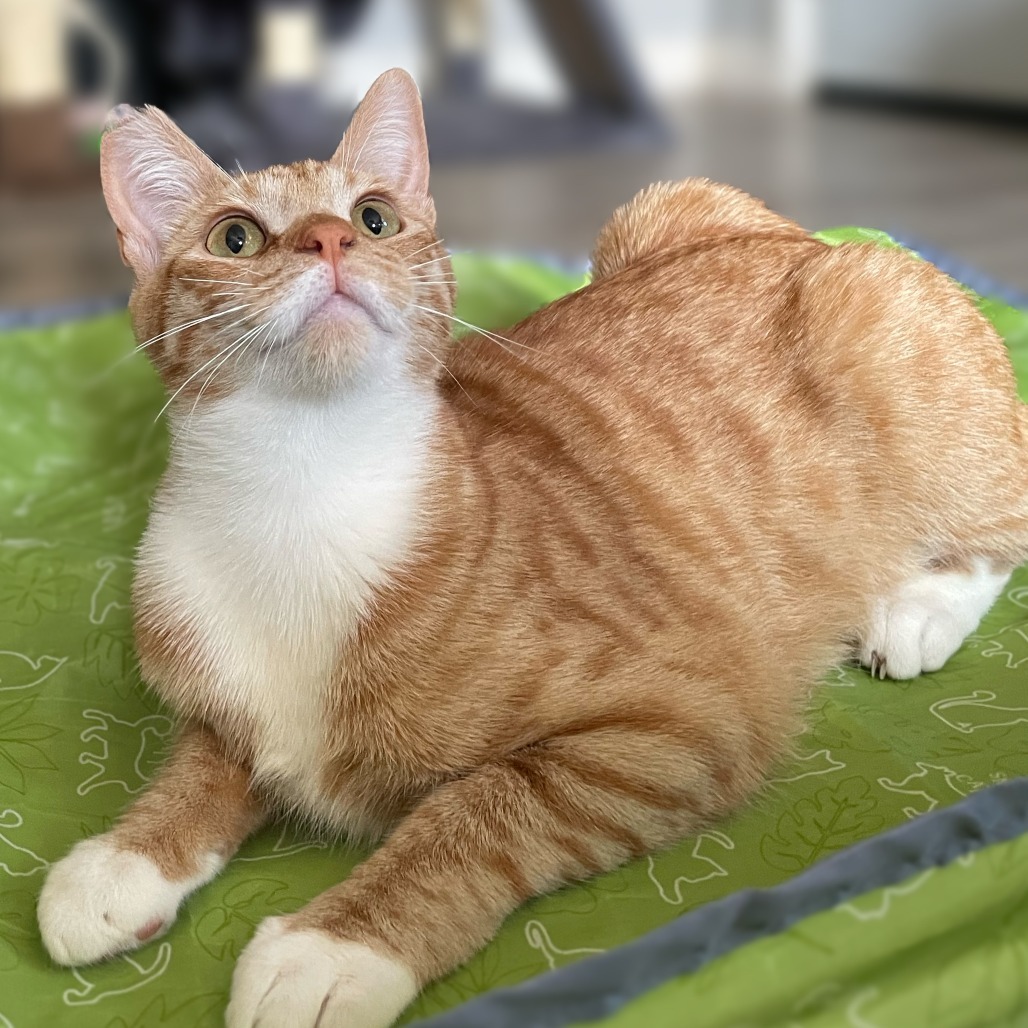 Rio
