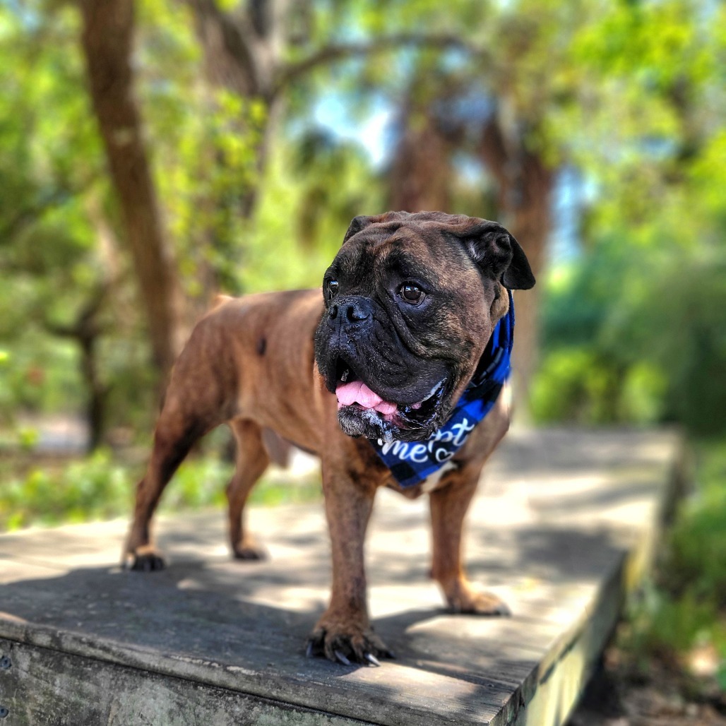 Max