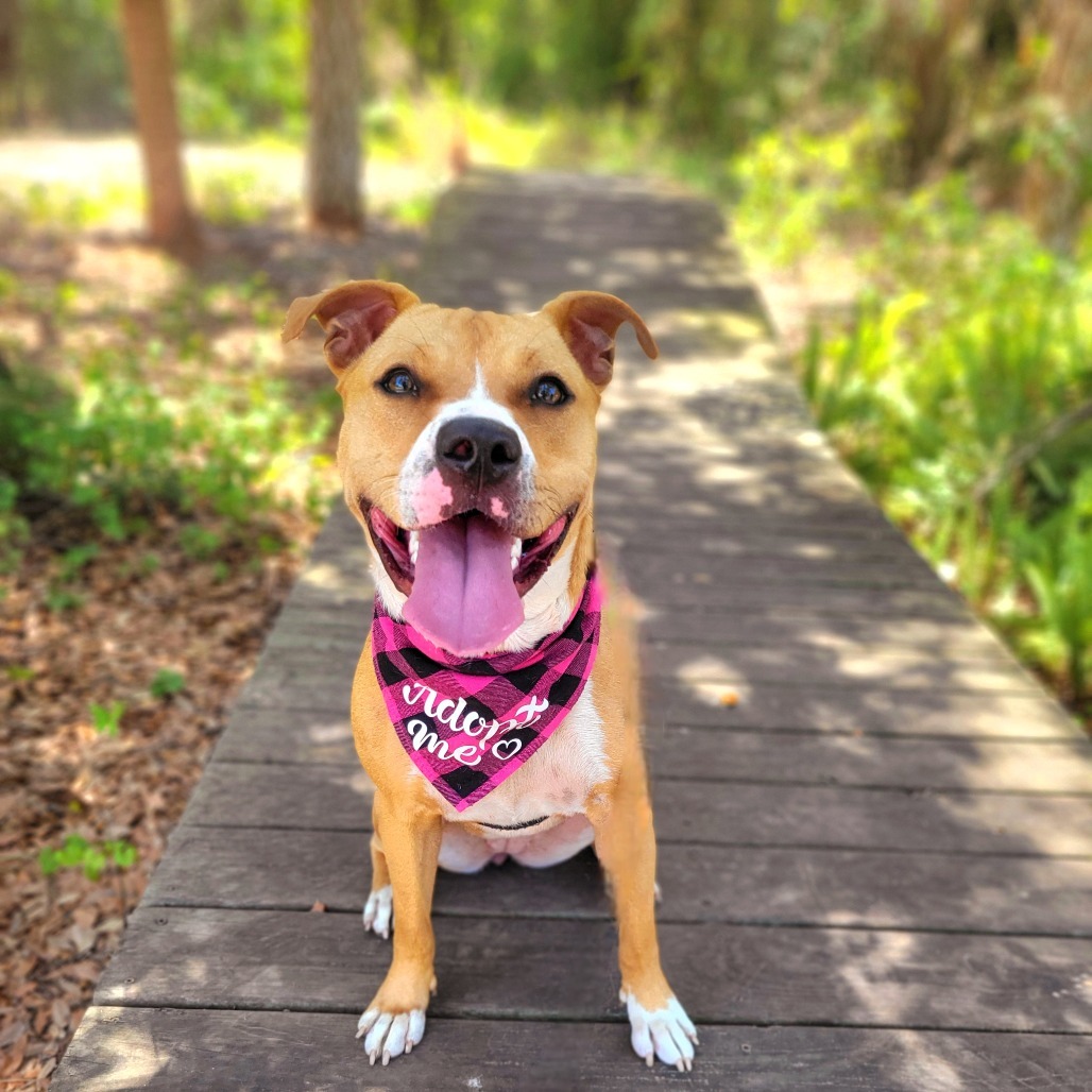 Pippa