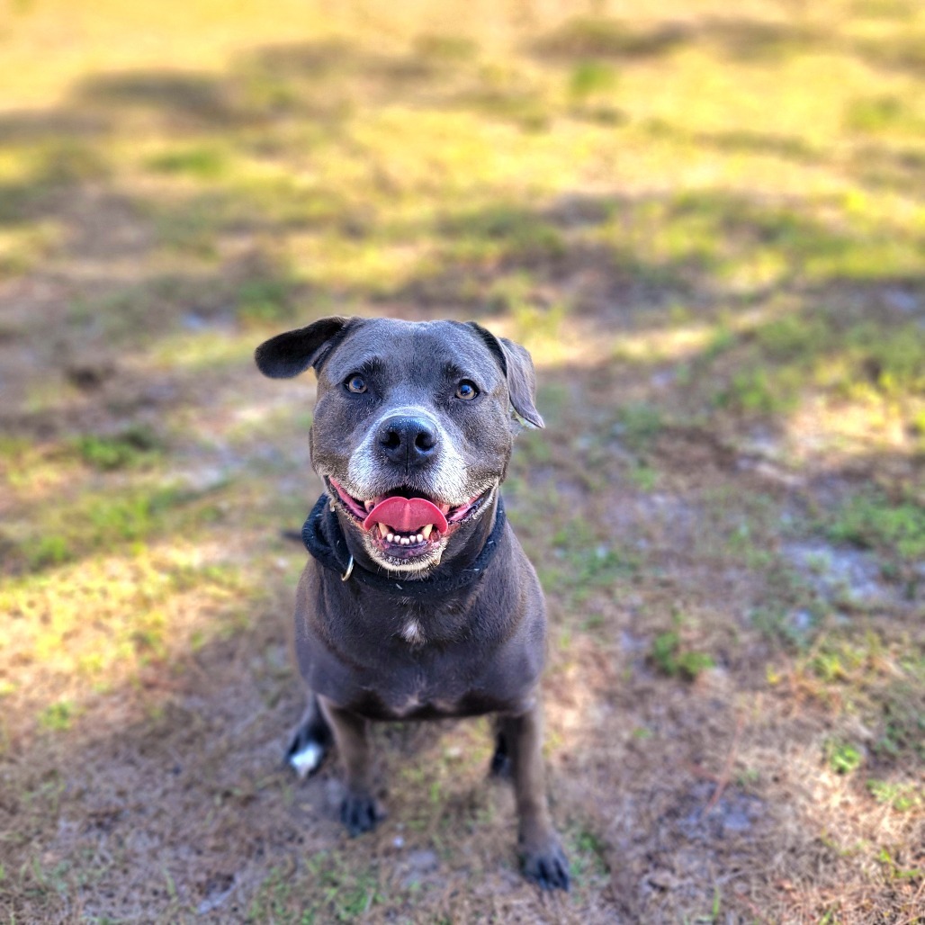 Kali