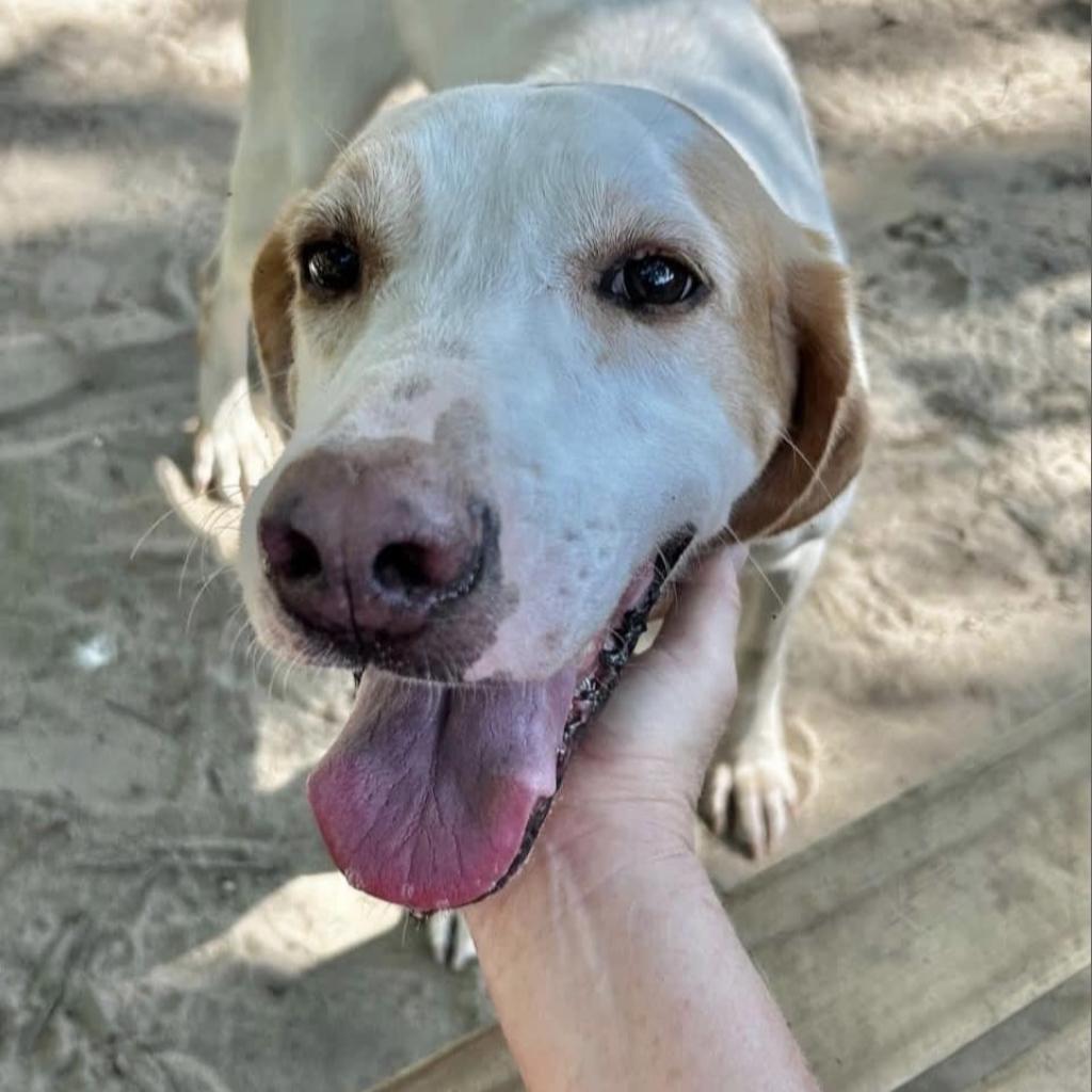 Duke
